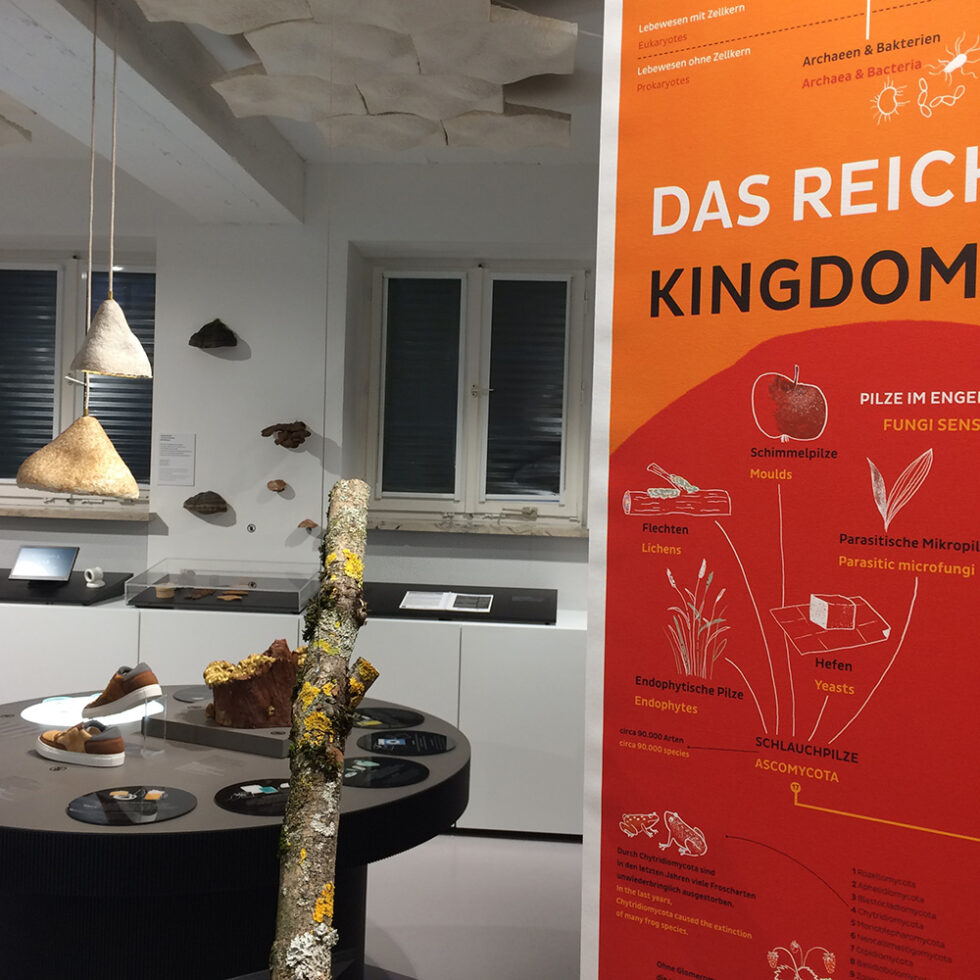 HEYmiro | Illustration * Grafik Design