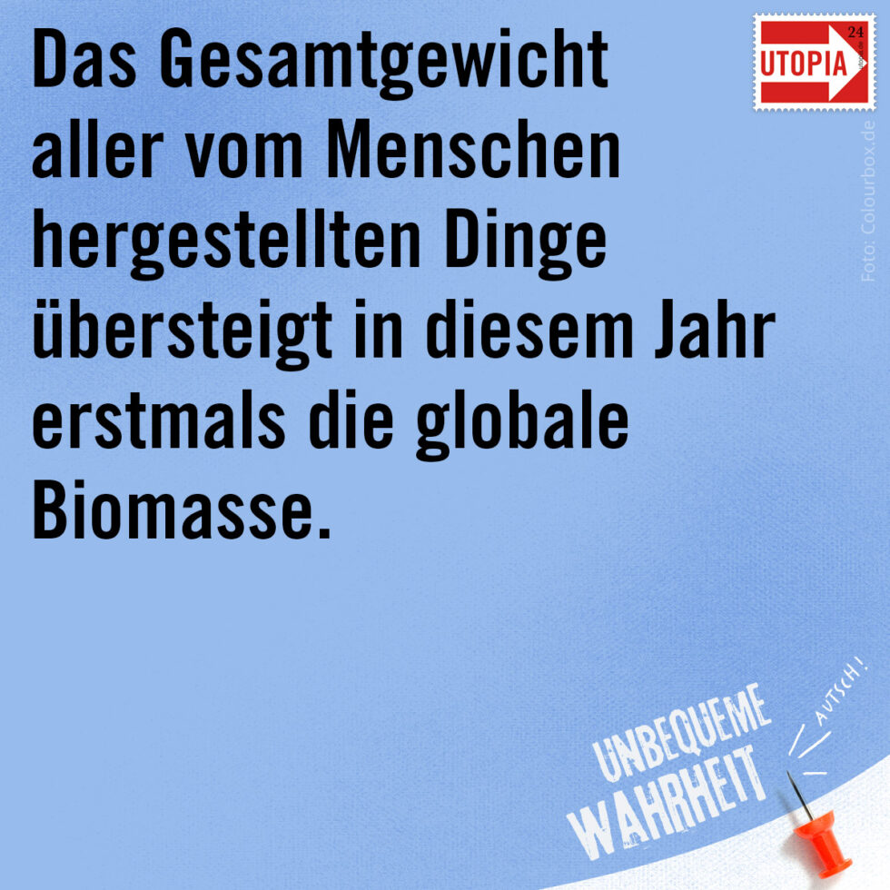 HEYmiro | Illustration * Grafik Design