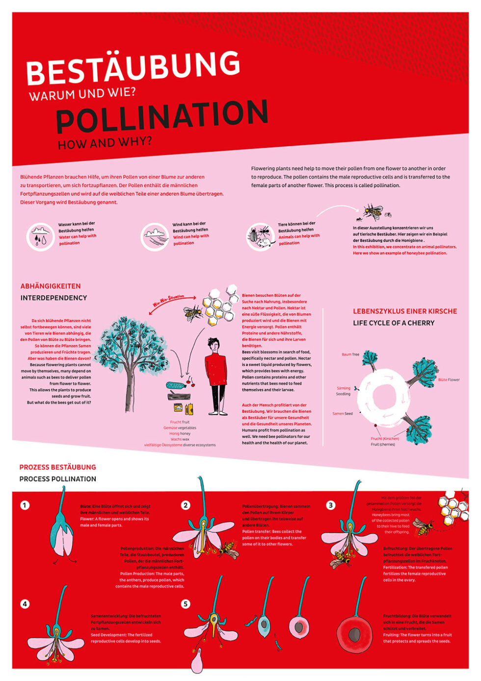 HEYmiro | Illustration * Grafik Design